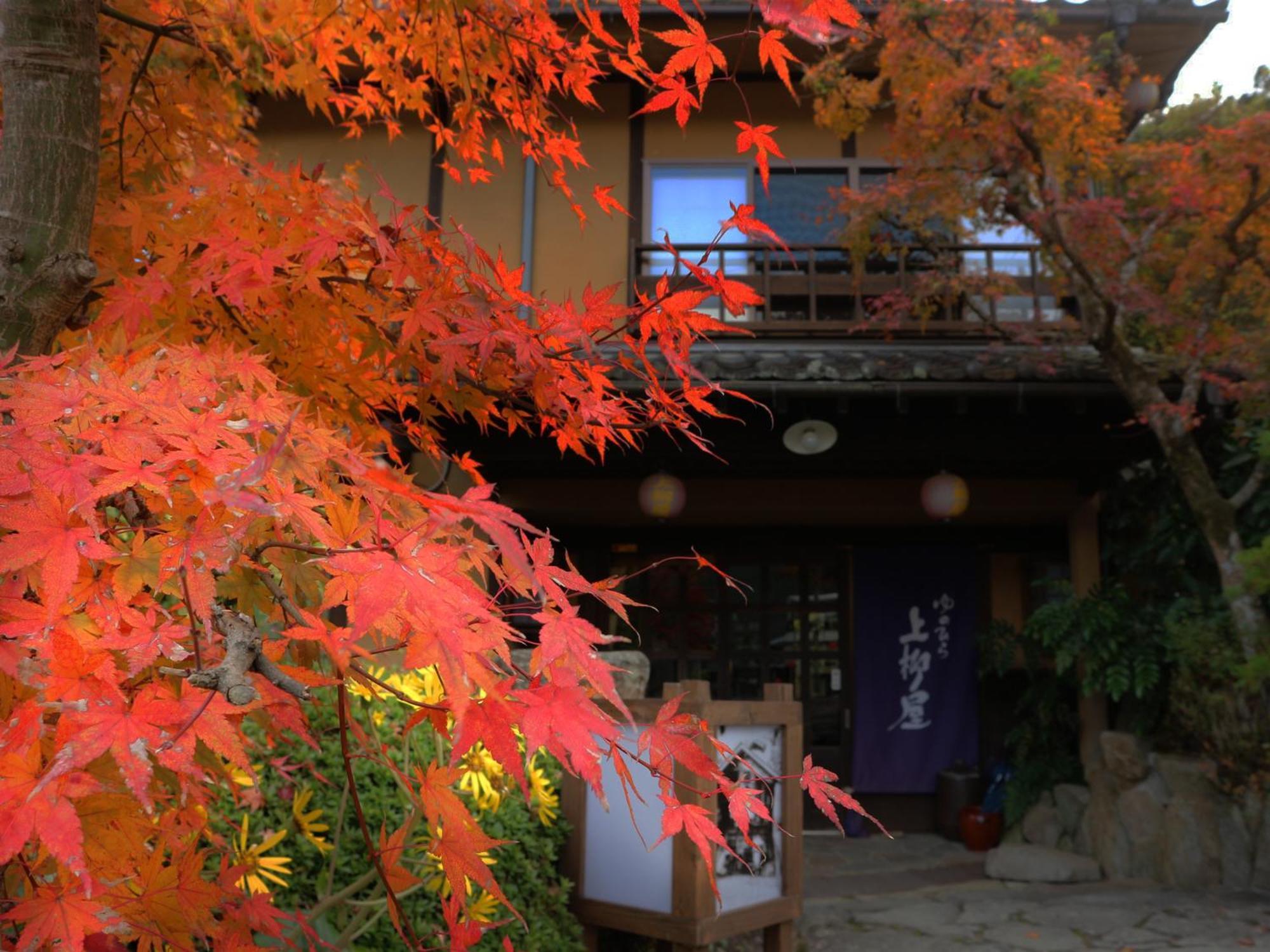 Yunohira Kamiyanagiya Hotel Yufu Bagian luar foto