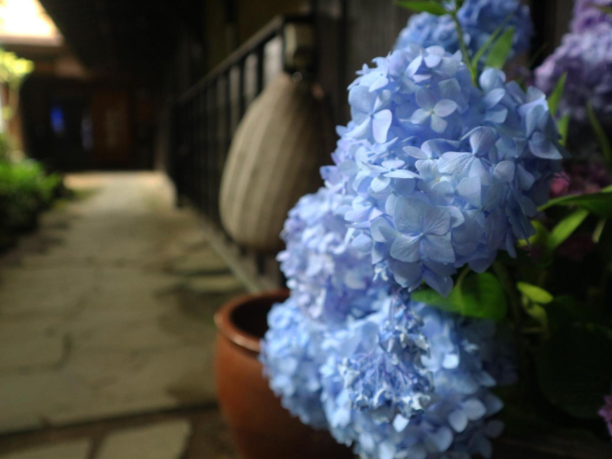 Yunohira Kamiyanagiya Hotel Yufu Bagian luar foto